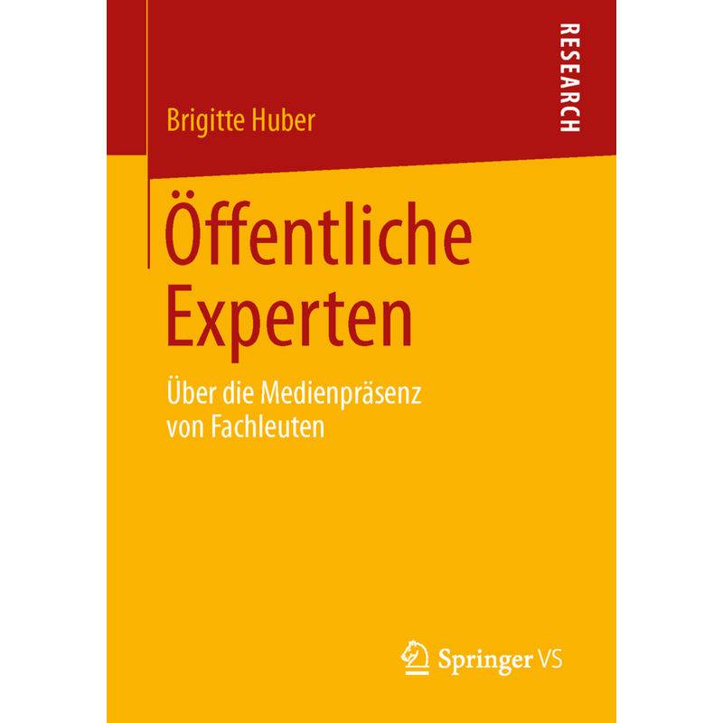 Öffentliche Experten - Brigitte Huber, Kartoniert (TB) von Springer, Berlin