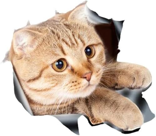 1 x realistischer 3D-Katzen-Autoaufkleber, Tier, lustige Aufkleber, Heckscheiben-Aufkleber, wasserdicht, Motorhaubenaufkleber, Auto-Dekoration, Styling-Aufkleber, personalisierte Dekoration für 1 x realistischer 3D-Katzen-Autoaufkleber, Tier, lustige Aufkleber, Heckscheiben-Aufkleber, wasserdicht, Motorhaubenaufkleber, Auto-Dekoration, Styling-Aufkleber, personalisierte Dekoration für von SquarezhenBo