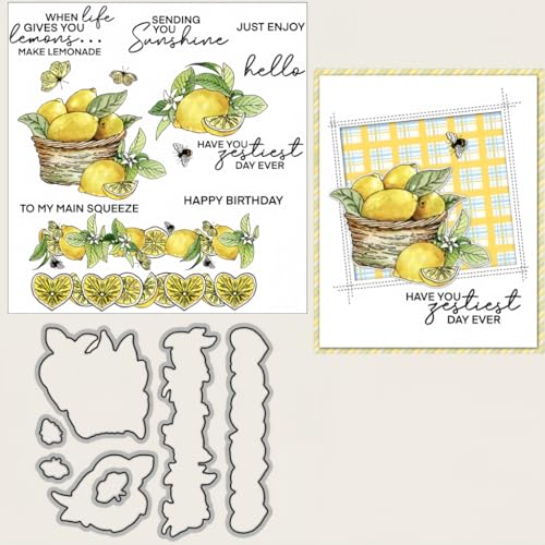 Sredwtk Orangen Zitronen Geburtstag Stanzschablonen und Stempelset,Stempel und Stanzen Set,Silikonstempel und Stanzen Set,Clear Stamp und Stanzschablone Für DIY Scrapbooking Fotoalbum Dekor Karten von Sredwtk