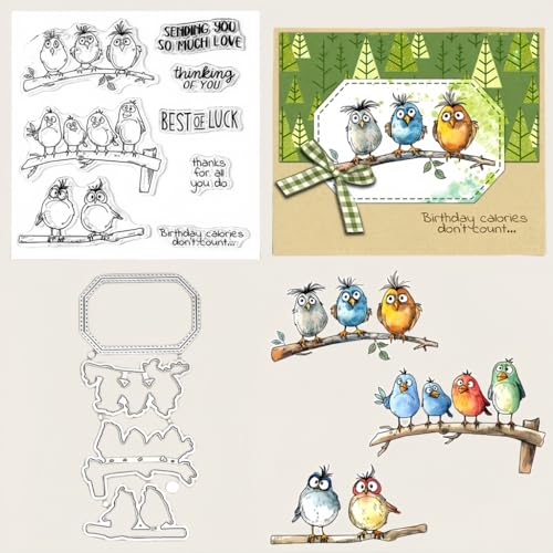 Sredwtk Vögel auf den Zweigen Stanzschablonen und Stempelset,Stempel und Stanzen Set,Silikonstempel und Stanzen Set,Clear Stamp und Stanzschablone Für DIY Scrapbooking Fotoalbum Dekor Karten von Sredwtk