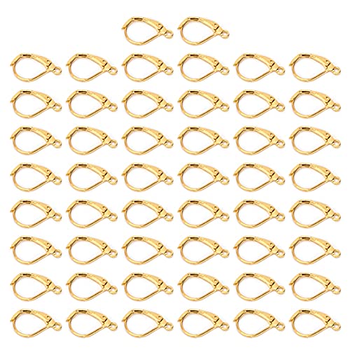 Ohrringhaken, Einfache Verschleiß, Dauerhafte Farbe, Schmuck für Alle Gelegenheiten, Komponenten für Französische Ohrleitungen, Messingmaterial, 50 Stück (Gold) von Srliya