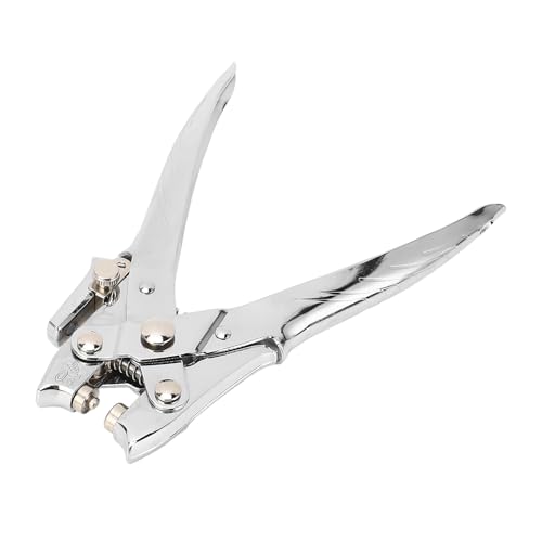 Srliya 5 Mm Ölteland Hole Puncher Labor Saving Manual TROMMET ZIELLE BITTEL, Metall, für A4 -Papier 30 Blätter, mit Nicht -Schlupf -Grip, Klare Schuppen, Perlenchromplattierter von Srliya