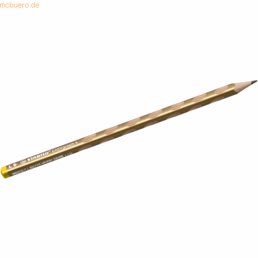 6 x Stabilo Dreikant-Bleistift Easygraph S Metallic Edition silber 6 x Stabilo Dreikant-Bleistift Easygraph S Metallic Edition silber von Stabilo