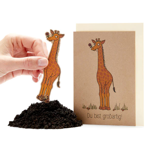 Saatpapier-Grußkarte "Du bist großartig" mit Saatstecker und Umschlag Saatpapier-Grußkarte "Du bist großartig" mit Saatstecker und Umschlag von Stadtgärtner