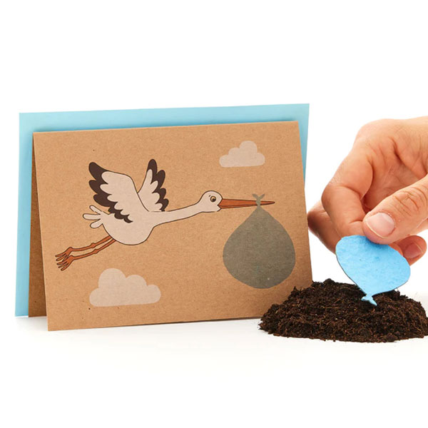 Saatpapier-Grußkarte "Klapperstorch" in blau mit Saatstecker und Umschlag von Stadtgärtner