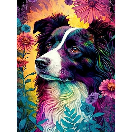 Stalente Diamond Painting Erwachsene Set Hund, 5D Diamond painting Tiere, Rund Full Drill Diamond Painting for Home Wall Decoration Gift 30x40cm/12x16in von Stalente