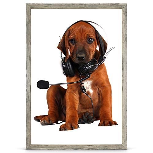 Bilderrahmen DIN A1 59,4x84 cm olive Deko Rahmen ohne Bild 13x18 30x40 50x70 oder a4 a3 Fotorahmen Wechselrahmen aus Holz mehrere Farben wählbar Bilderrahmen für Foto oder Bilder Galeria53 Rahmen Bilderrahmen DIN A1 59,4x84 cm olive Deko Rahmen ohne Bild 13x18 30x40 50x70 oder a4 a3 Fotorahmen Wechselrahmen aus Holz mehrere Farben wählbar Bilderrahmen für Foto oder Bilder Galeria53 Rahmen von Stallmann Design