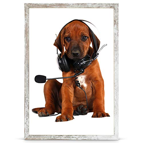 Stallmann Design Bilderrahmen 36x49 Puzzleformat cm vintage Deko Rahmen ohne Bild 13x18 30x40 50x70 oder a4 a3 Fotorahmen Wechselrahmen aus Holz Galeria53 Stallmann Design Bilderrahmen 36x49 Puzzleformat cm vintage Deko Rahmen ohne Bild 13x18 30x40 50x70 oder a4 a3 Fotorahmen Wechselrahmen aus Holz Galeria53 von Stallmann Design