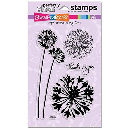 Stampendous SSC1111 Perfectly Clear Stamp, Agapanthus Thank You von Stampendous