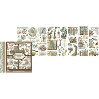 Rub On Sortiment "Herbarium Silvae" von Stamperia