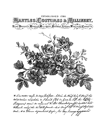 Tim Holtz Haftstempel, 17,8 x 21,6 cm, exquisit Tim Holtz Haftstempel, 17,8 x 21,6 cm, exquisit von Stampers Anonymous