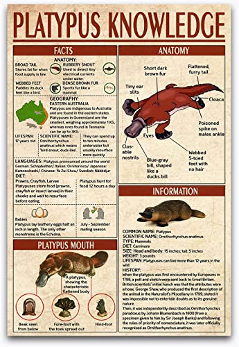 Starotore Platypus Wissen, Metall-Blechschilder, Vintage-Informations-Poster, Kinder, pädagogisches Klassenzimmer, Zuhause, Wanddekoration, Plakette, 20,3 x 30,5 cm von Starotore