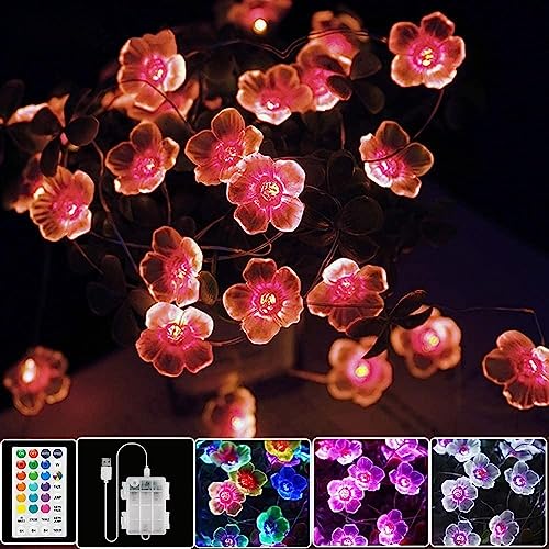 StarryEver LED Bunt Lichterkette Blumen, 4M 40er USB & Batterie LED Blume Lichterkette Innen, 16 Farben Lichterkette für Zimmer mit Fernbedienung für Diwali Garten Bäume, Geschenke für Frauen Mädchen von StarryEver