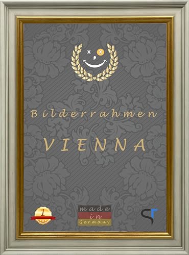 SteTas Bilderrahmen weiß mit Goldkante Vienna Rahmen 25x35 cm - Holzrahmen vintage barock klassisch, Bilderrahmen Holz mit Zierleiste innen, Fotorahmen, Posterrahmen von SteTas