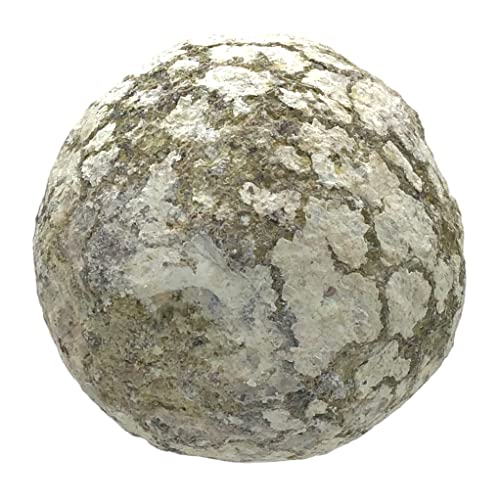 Steinfixx Achat Geode geschlossen aus Mexiko Glücksgeode 50-60 mm Las Choyas Mine Steinfixx Achat Geode geschlossen aus Mexiko Glücksgeode 50-60 mm Las Choyas Mine von Steinfixx