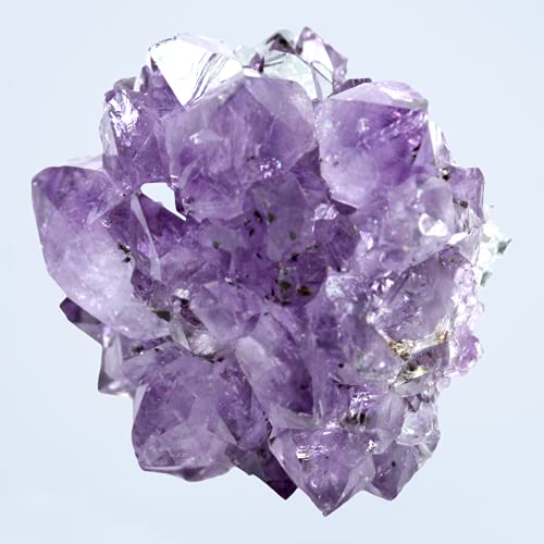 Steinfixx Amethyst Druse I Amethyst Kristall | Rohstück I kleines Naturstück I Ladestein von Steinfixx