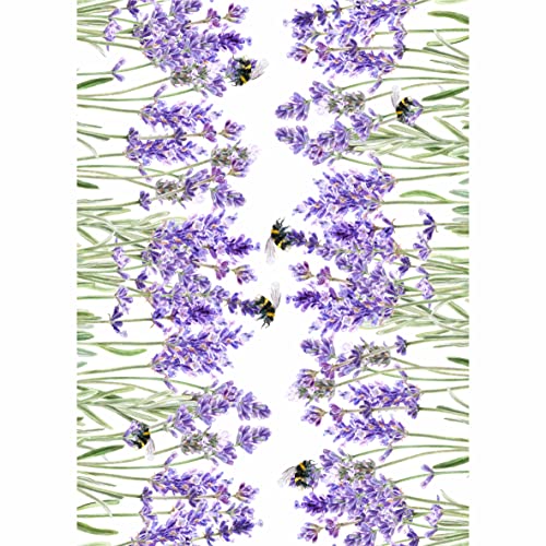 Reispapier, Lavendel-Bordüre, 29,21 x 40,64 cm, 3 Blatt bedrucktes Maulbeerpapier, 36 g/m², sichtbare Fasern für Decoupage, Möbel, Renovierung, Handwerk Reispapier, Lavendel-Bordüre, 29,21 x 40,64 cm, 3 Blatt bedrucktes Maulbeerpapier, 36 g/m², sichtbare Fasern für Decoupage, Möbel, Renovierung, Handwerk von Stencil Company