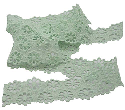 Stephanoise Ätzspitze, Gipüre, 40mm, glänzend, Spitze, nähen, Meterware, 1meter (pastellgrün) von Stephanoise