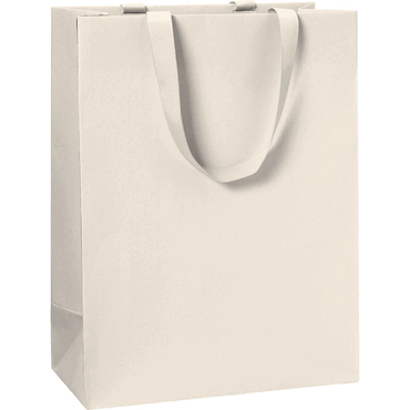 6 x Stewo Geschenktragetasche One Colour - 23 x 30 x 13 cm beige von Stewo