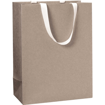 6 x Stewo Geschenktragetasche One Colour - 23 x 30 x 13 cm hellgrau von Stewo