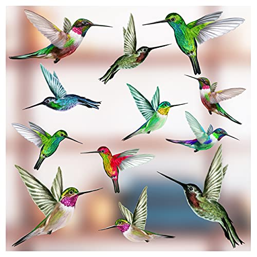 Stickers4 Vogel-Fensteraufkleber zum Schutz gegen Vogelschlag - Zwölf gemischte Größe schöne Kolibri-Glasaufkleber, doppelseitig und selbstklebend zum Schutz gegen Vogelkollisionen von Stickers4