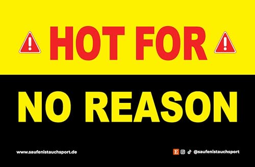 50x "Hot for no reason" Stickerset/Malle Stickerauswahl/Malle Aufkleber Set/Festival Sticker/Partysticker/Saufsticker/Mallorca/JGA Sticker/Oktoberfest 50x "Hot for no reason" Stickerset/Malle Stickerauswahl/Malle Aufkleber Set/Festival Sticker/Partysticker/Saufsticker/Mallorca/JGA Sticker/Oktoberfest von StickyMemes030