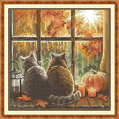 Stitchhaven Kreuzstich-Set für Anfänger, 14-fädig, Motiv: niedliche Katze, unbedruckt, komplettes DIY-Stickset mit Muster und Werkzeugen, hochwertiges Aida-Tuch und Fäden (Die Katze auf der von Stitchhaven