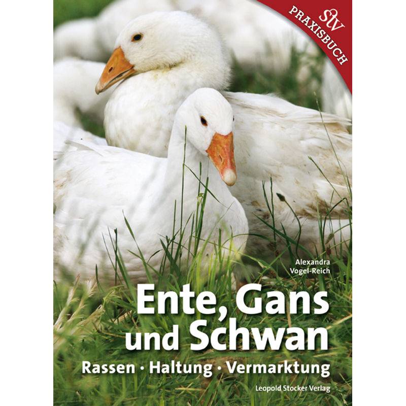 Ente, Gans Und Schwan - Alexandra Vogel-Reich, Gebunden von Stocker