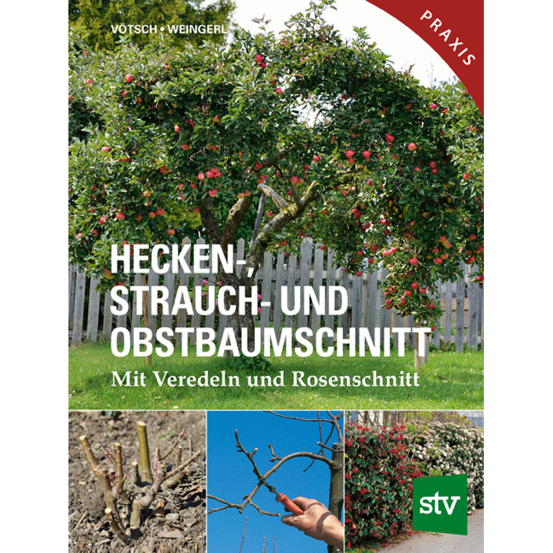 Hecken-, Strauch- Und Obstbaumschnitt - Josef Vötsch, Wolfgang Weingerl, Gebunden von Stocker