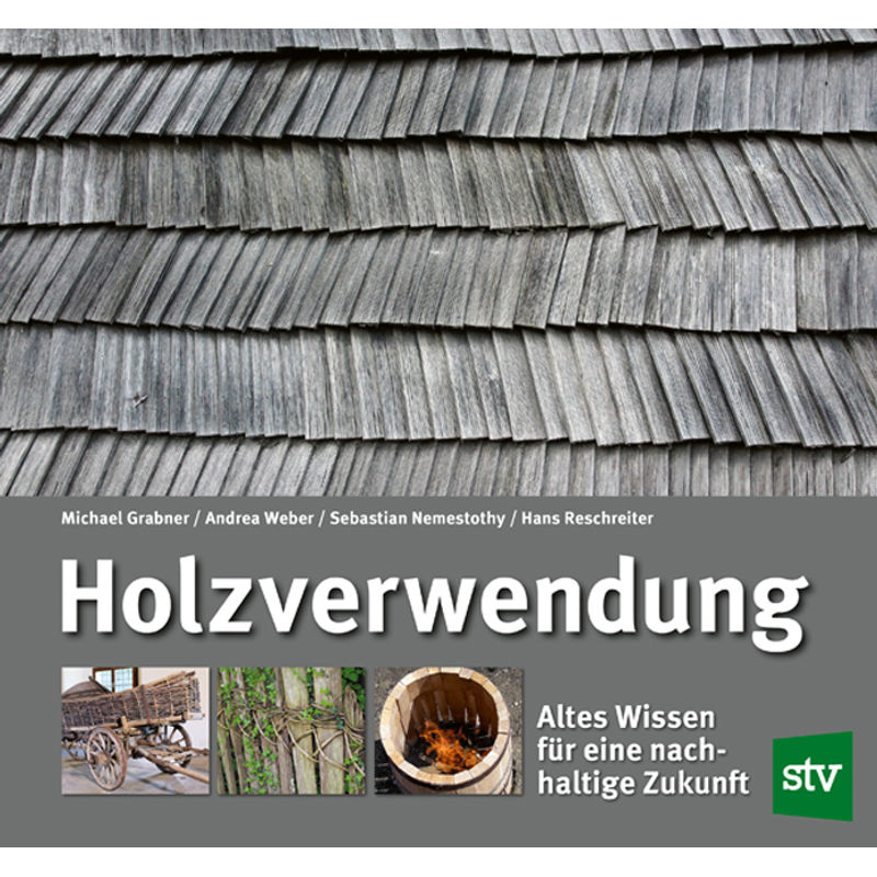 Holzverwendung - Michael Grabner, Andrea Weber, Sebastian Nemestothy, Hans Reschreiter, Gebunden von Stocker
