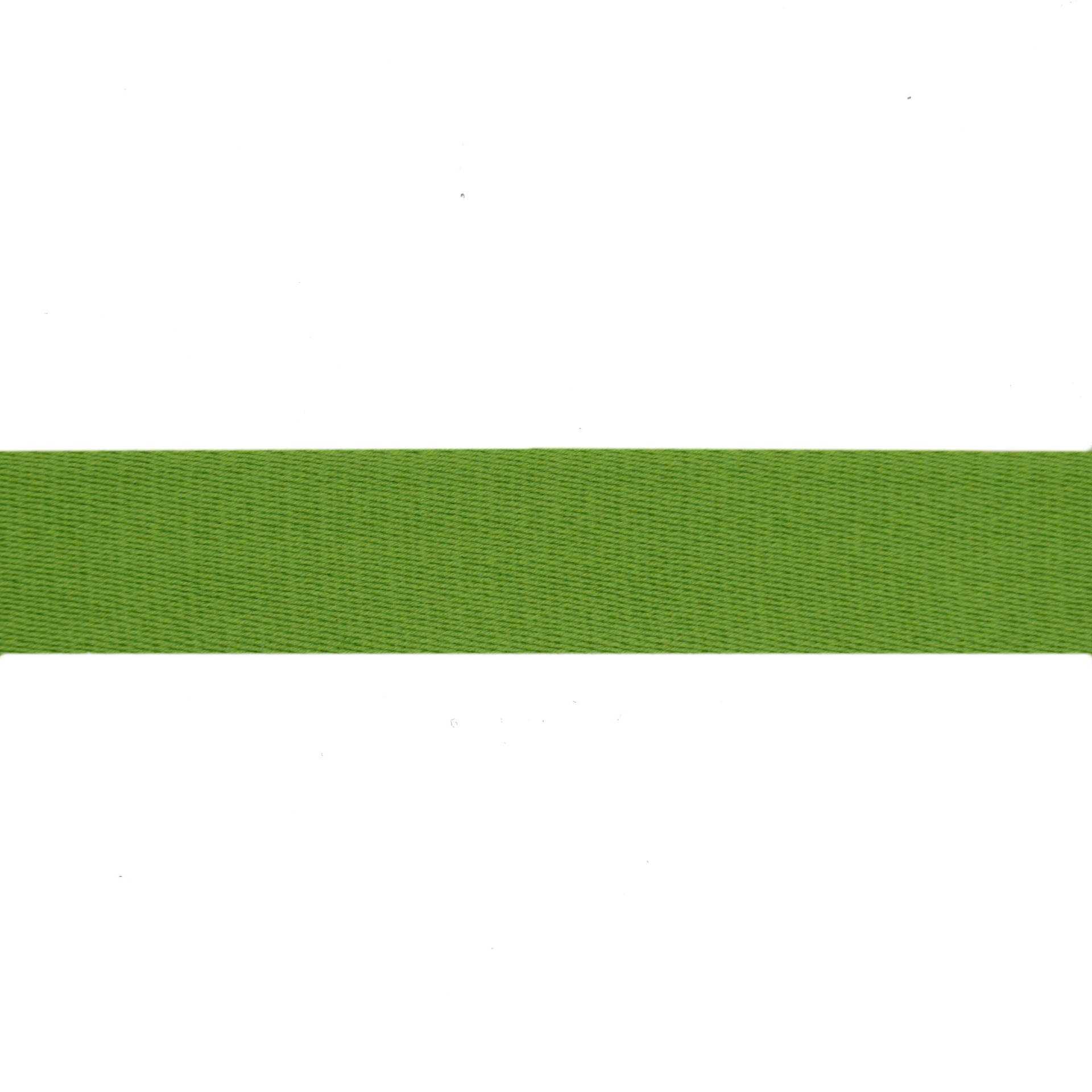 Baumwoll-Gurtband uni apfelgrün 38 mm von Stoffe Hemmers