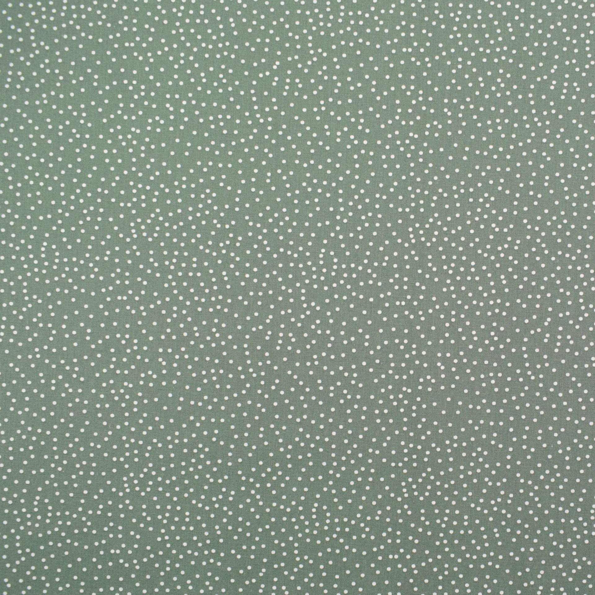 Baumwoll Popeline Little Dots, blassgrün Baumwoll Popeline Little Dots, blassgrün von Stoffe Hemmers
