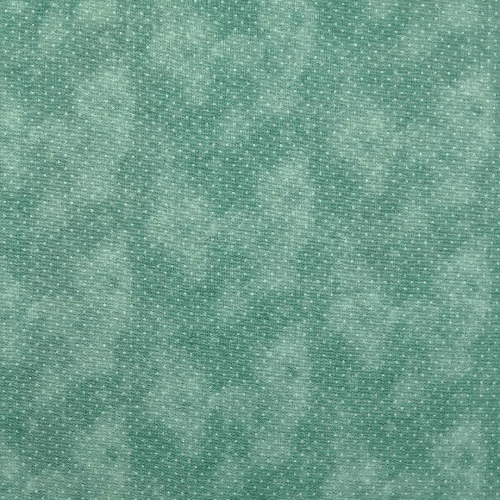 Baumwoll Popeline Small Dots, blassgrün Baumwoll Popeline Small Dots, blassgrün von Stoffe Hemmers