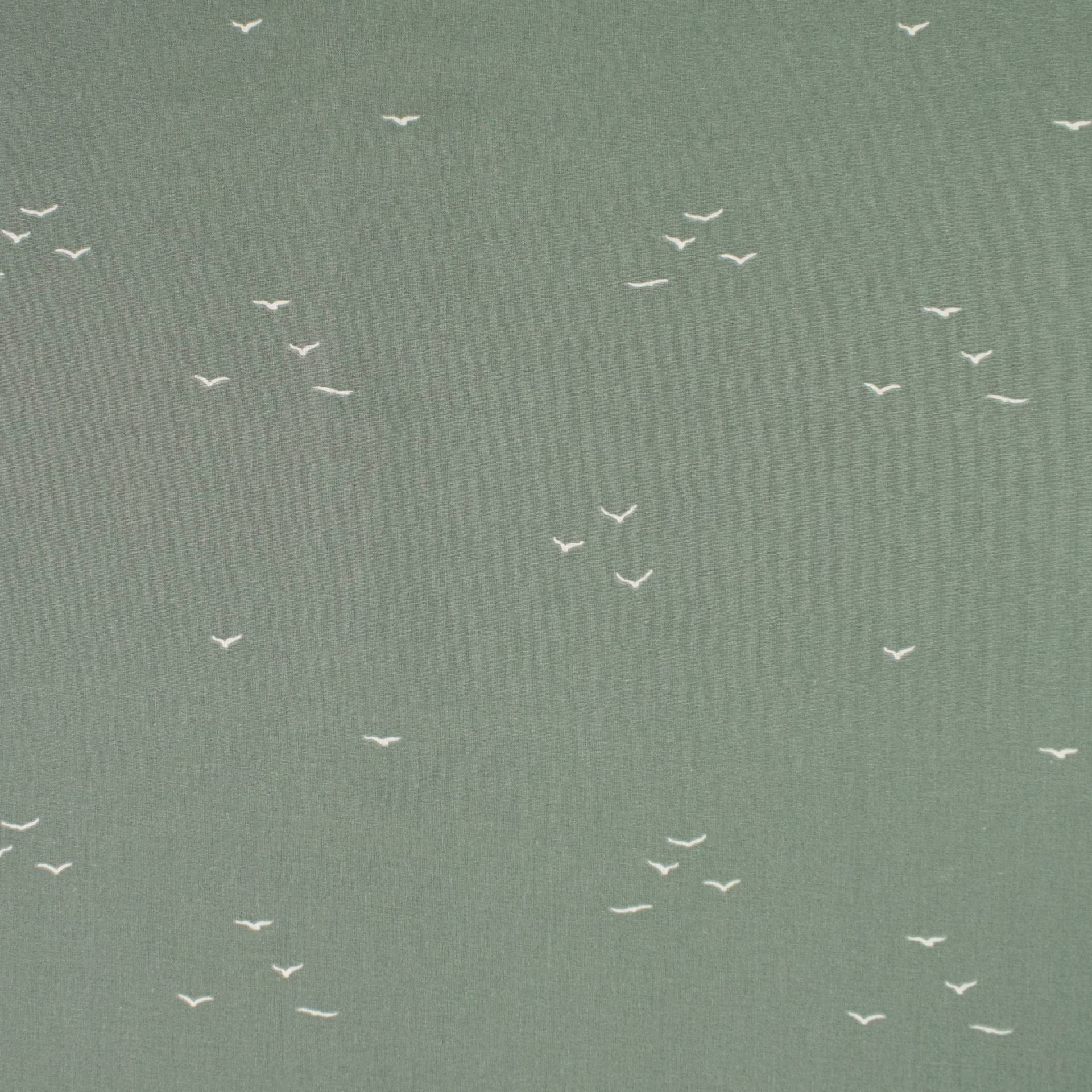 Baumwoll Popeline Swallows, blassgrün von Stoffe Hemmers