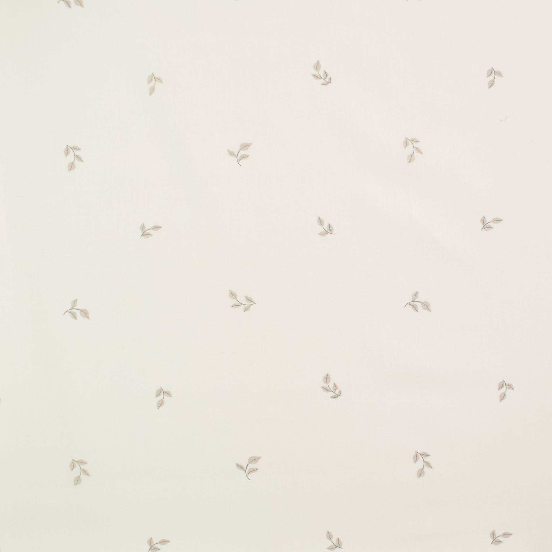 Baumwoll Popeline Twigs, wollweiß von Stoffe Hemmers