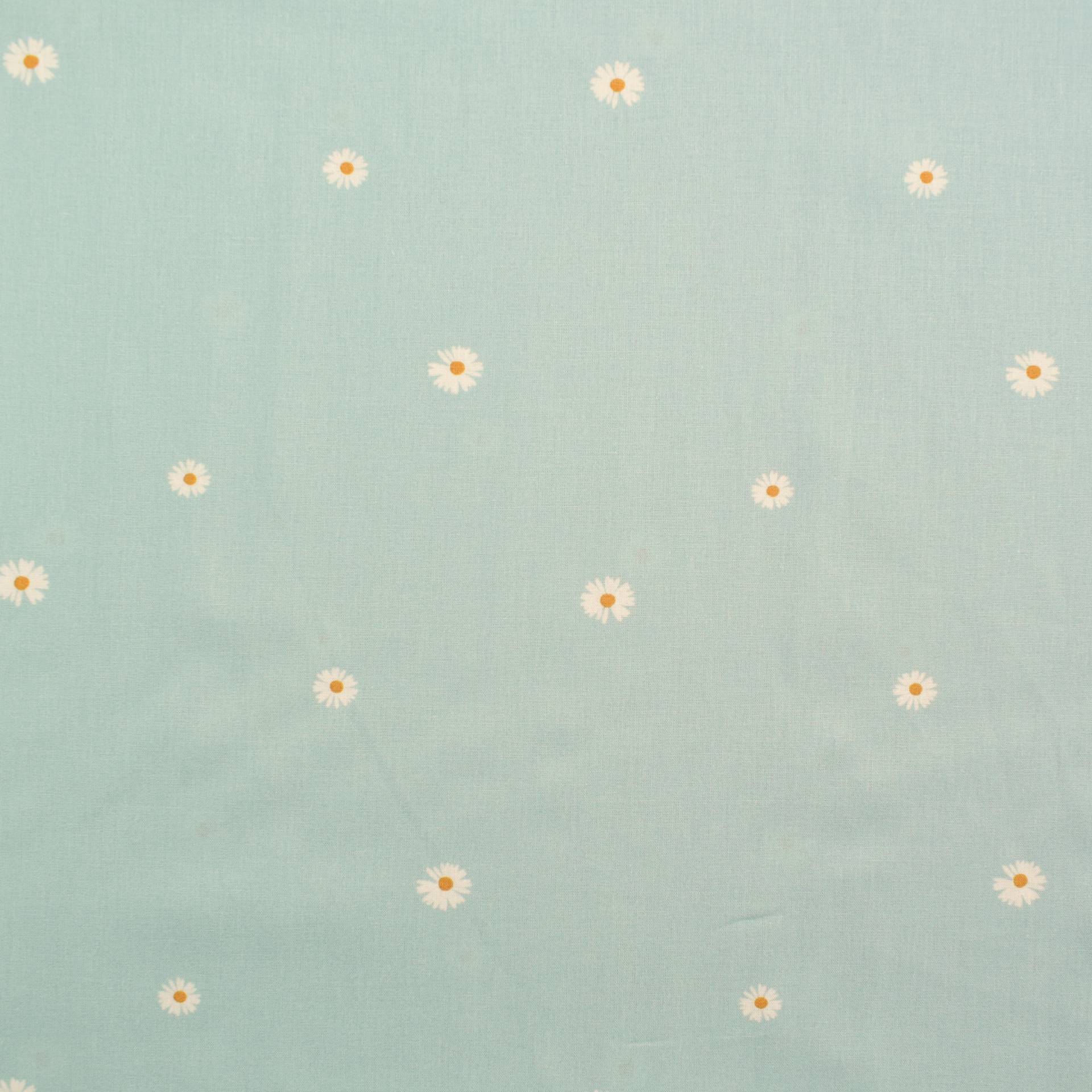 Baumwoll Popeline kleine Gänseblümchen, mint Baumwoll Popeline kleine Gänseblümchen, mint von Stoffe Hemmers