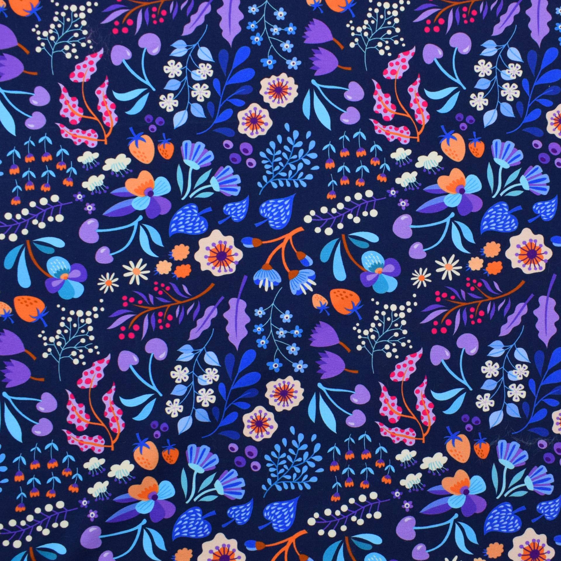 Baumwolljersey Albstoffe Hamburger Liebe Picknick In the Park, dunkelblau von Stoffe Hemmers