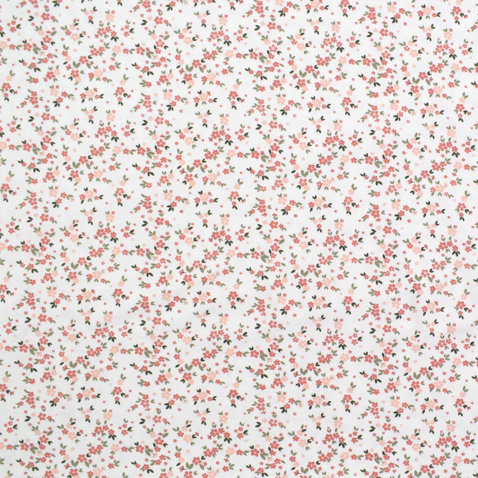 Baumwolljersey Blumenwiese, wollweiß von Stoffe Hemmers