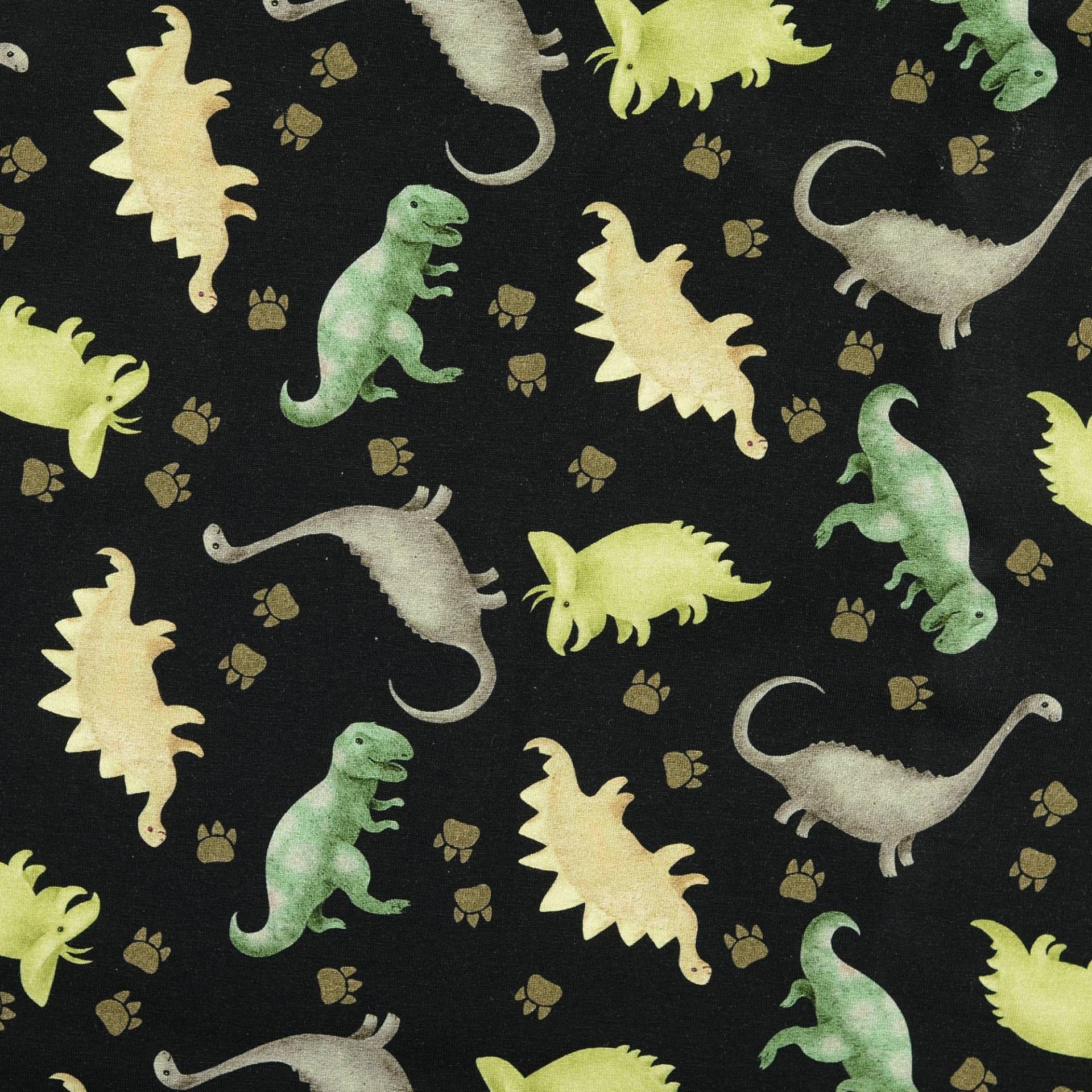 Baumwolljersey Dinosaurier, schwarz von Stoffe Hemmers