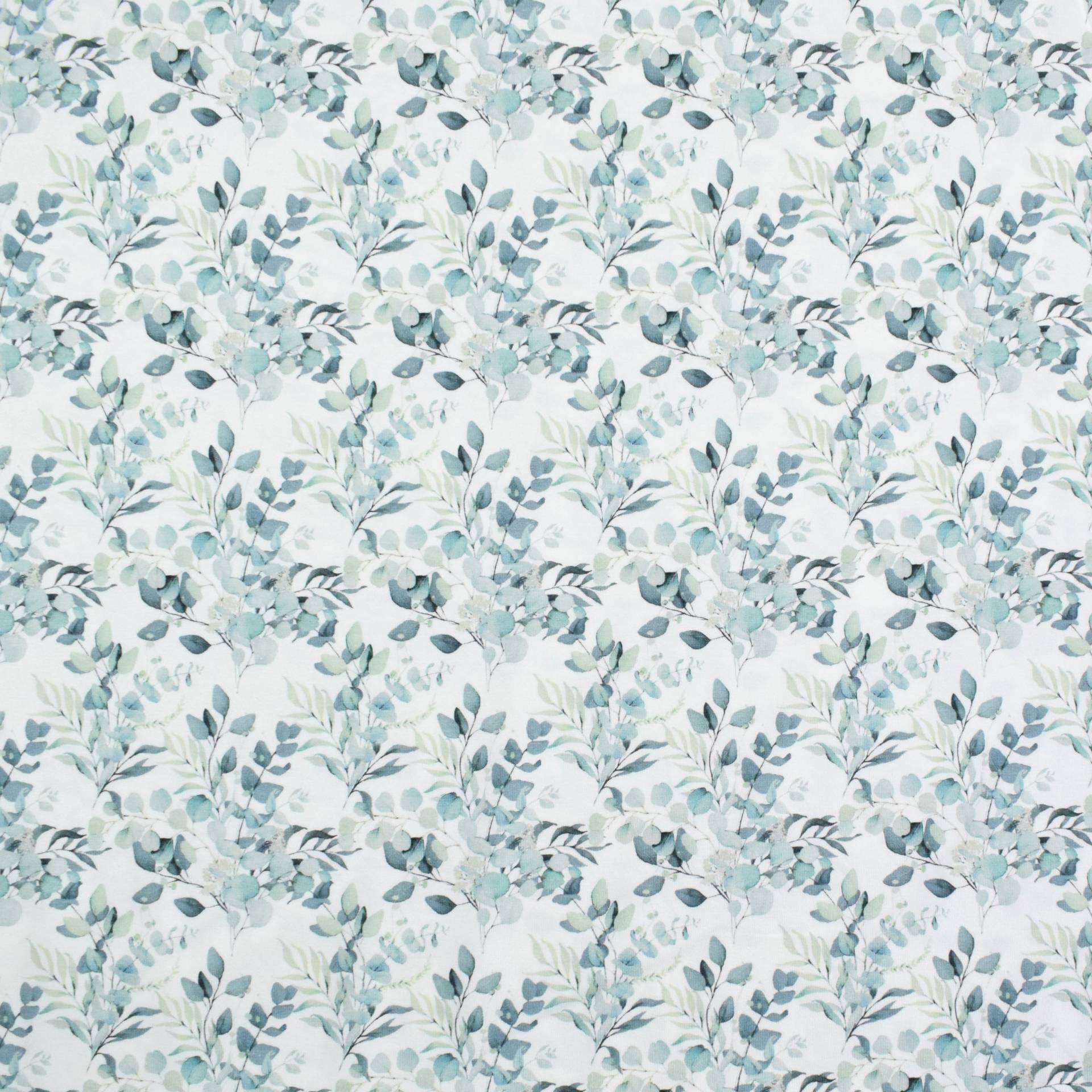 Baumwolljersey Eucalyptus, wollweiß von Stoffe Hemmers