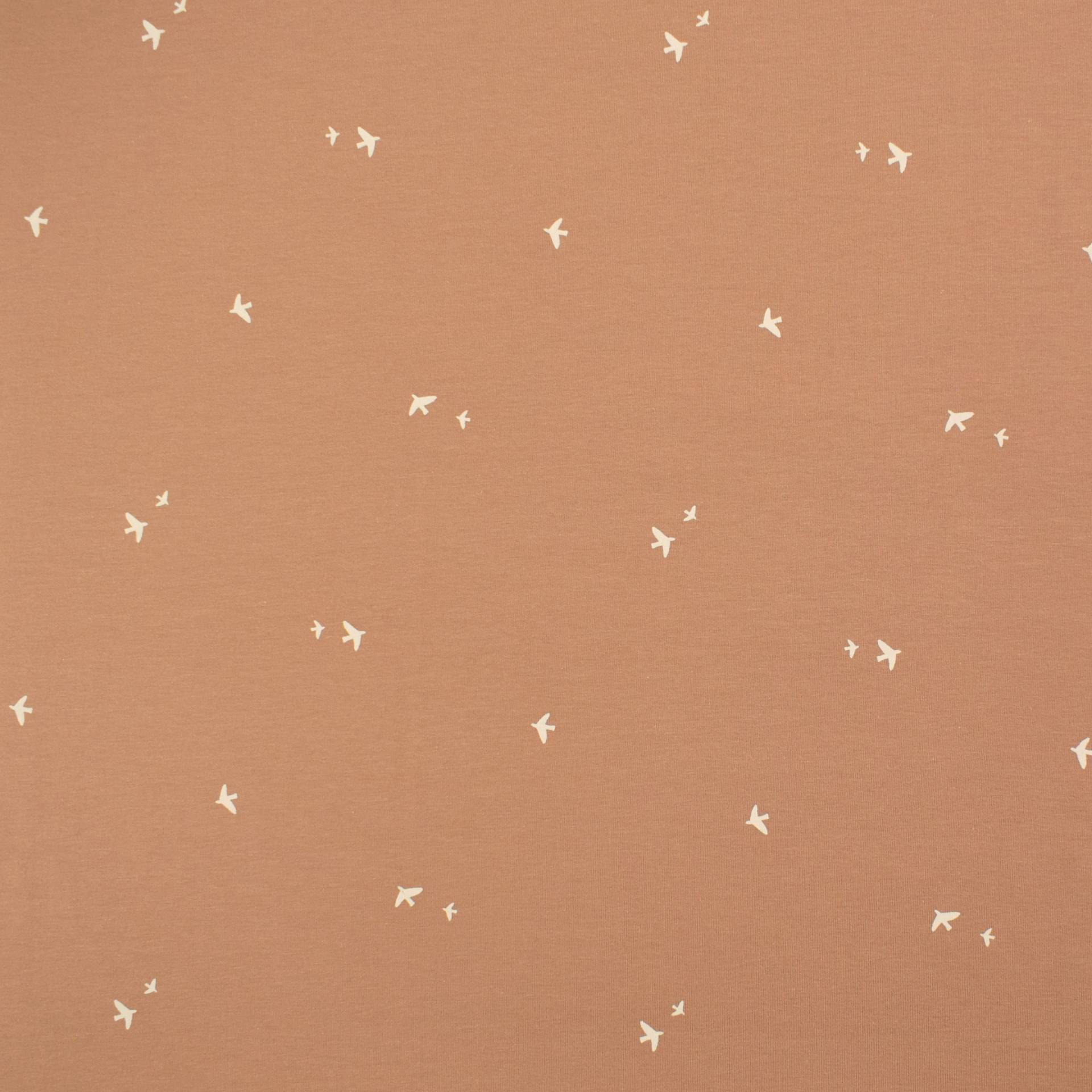 Baumwolljersey Kleine Vögel, hellbraun von Stoffe Hemmers