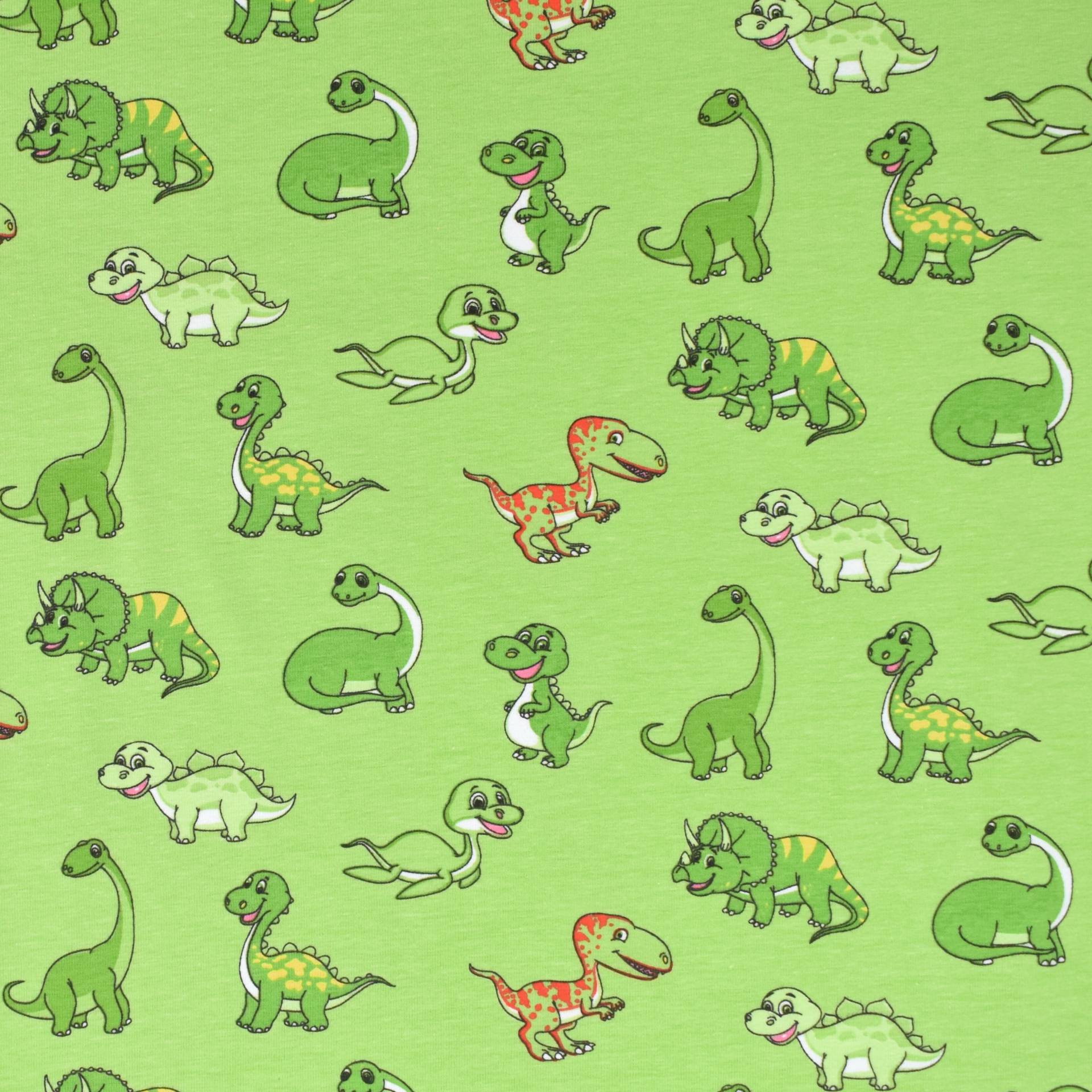 Baumwolljersey Little Dinosaurs, hellgrün Baumwolljersey Little Dinosaurs, hellgrün von Stoffe Hemmers