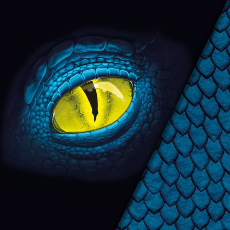 Baumwolljersey Malomi Panel Drache, blau 150 x 65 cm von Stoffe Hemmers