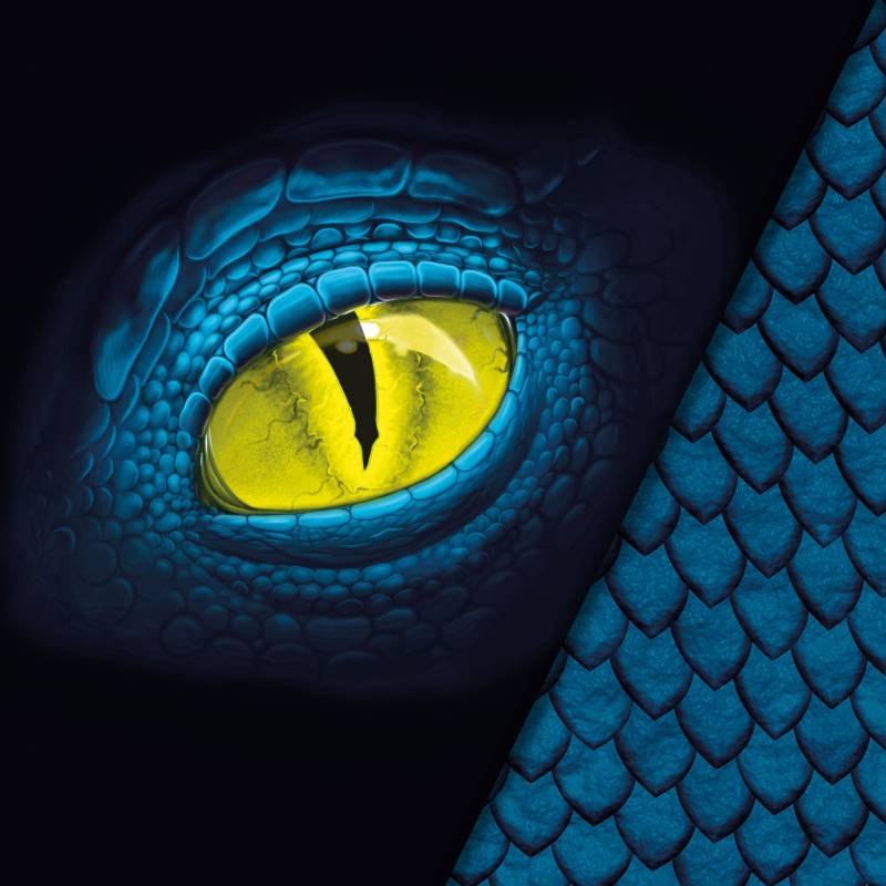 Baumwolljersey Malomi Panel Drache, blau 150 x 65 cm Baumwolljersey Malomi Panel Drache, blau 150 x 65 cm von Stoffe Hemmers