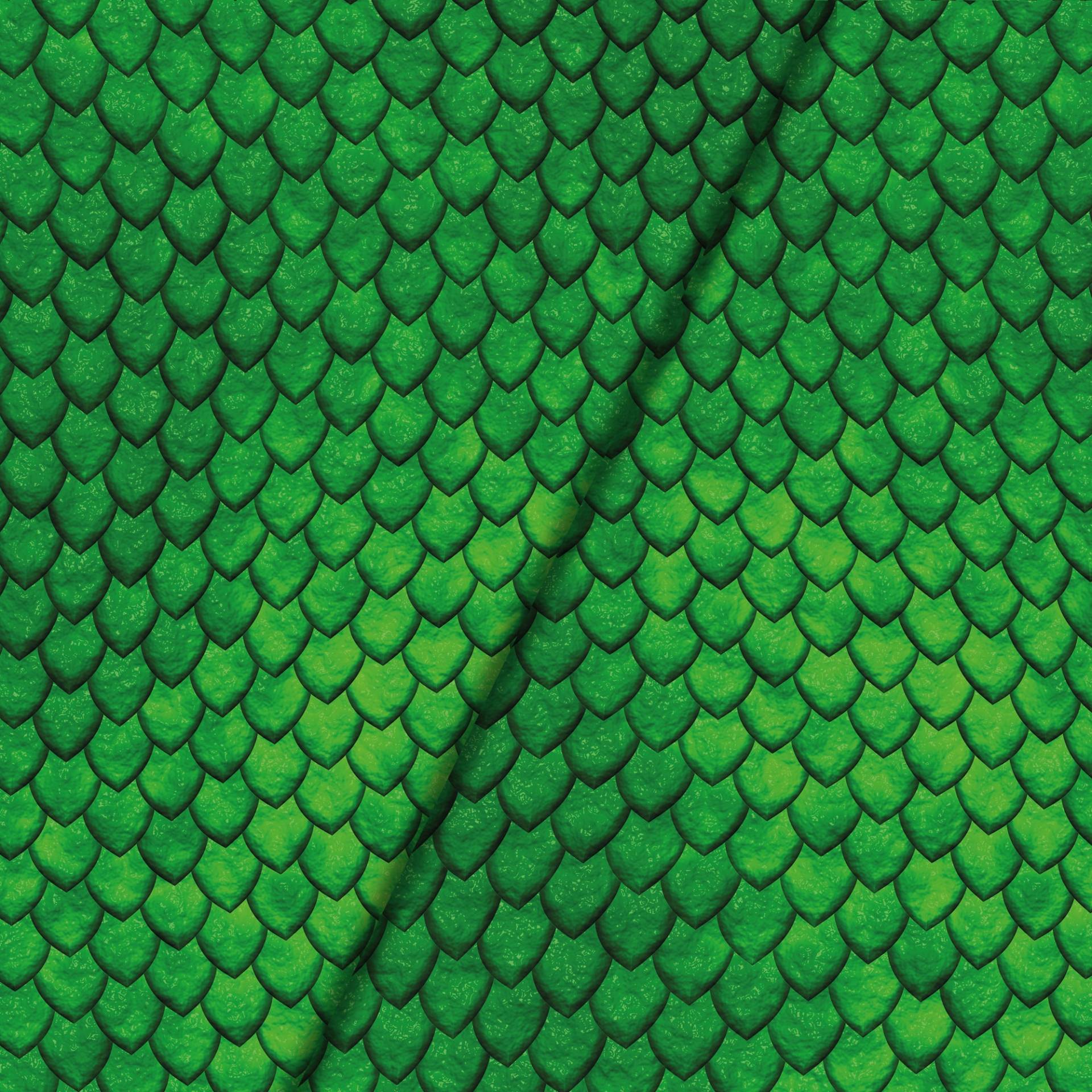 Baumwolljersey Malomi Panel Drachenhaut grün 150 x 65 cm von Stoffe Hemmers