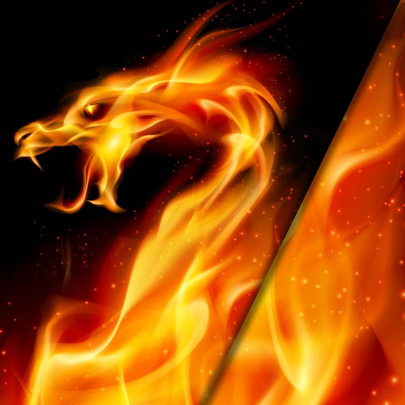 Baumwolljersey Malomi Panel Feuerdrache 150 x 70 cm Baumwolljersey Malomi Panel Feuerdrache 150 x 70 cm von Stoffe Hemmers