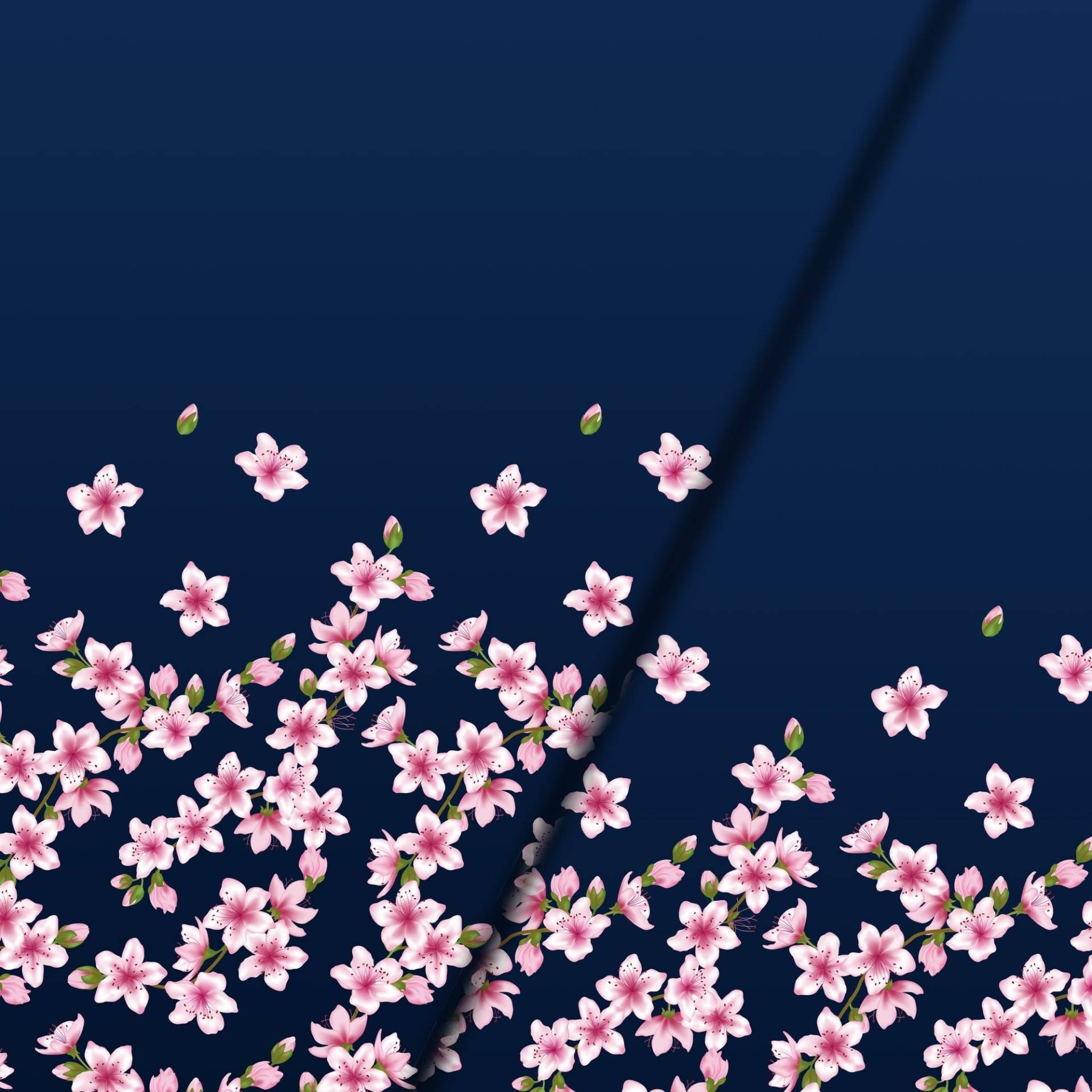 Baumwolljersey Malomi Panel Kirschblüten Sakura, dunkelblau 150 x 80 cm Baumwolljersey Malomi Panel Kirschblüten Sakura, dunkelblau 150 x 80 cm von Stoffe Hemmers
