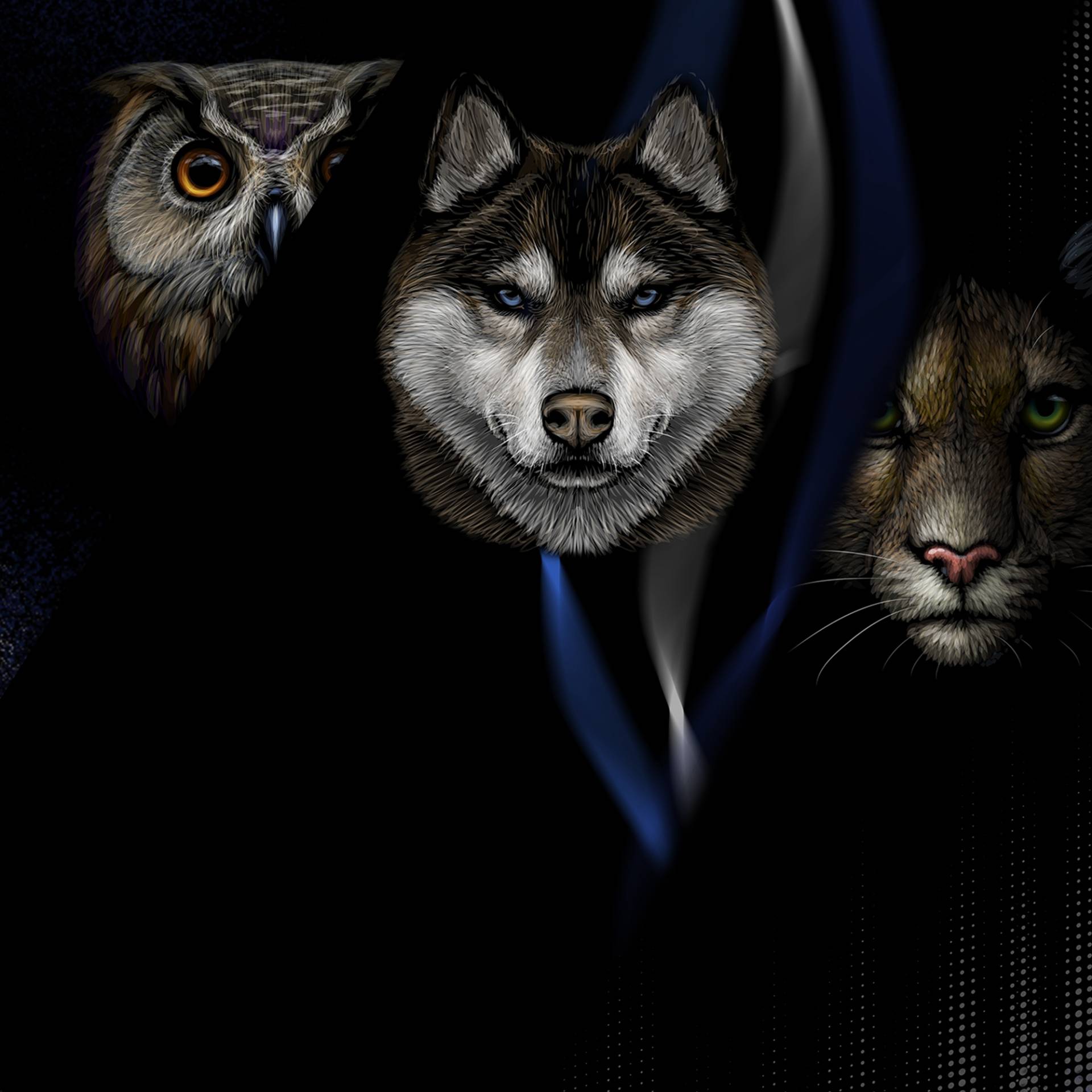 Baumwolljersey Malomi Panel Mystic Animals, schwarz 145 x 80 cm Baumwolljersey Malomi Panel Mystic Animals, schwarz 145 x 80 cm von Stoffe Hemmers