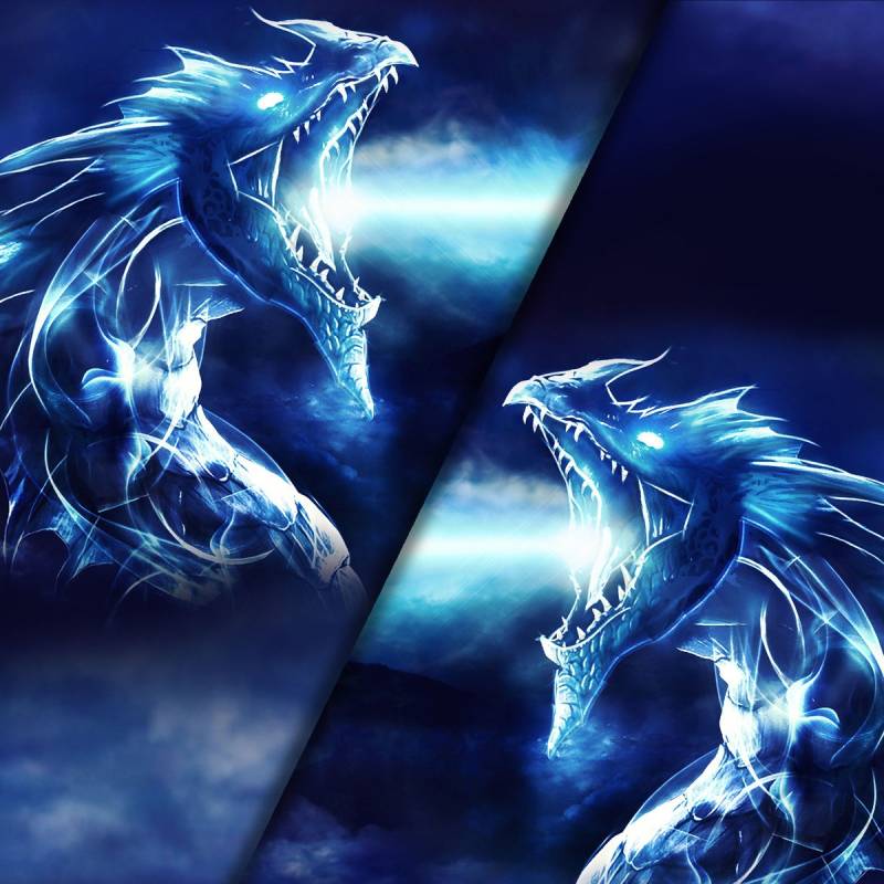 Baumwolljersey Malomi Panel Nachtdrache 150 x 65 cm Baumwolljersey Malomi Panel Nachtdrache 150 x 65 cm von Stoffe Hemmers