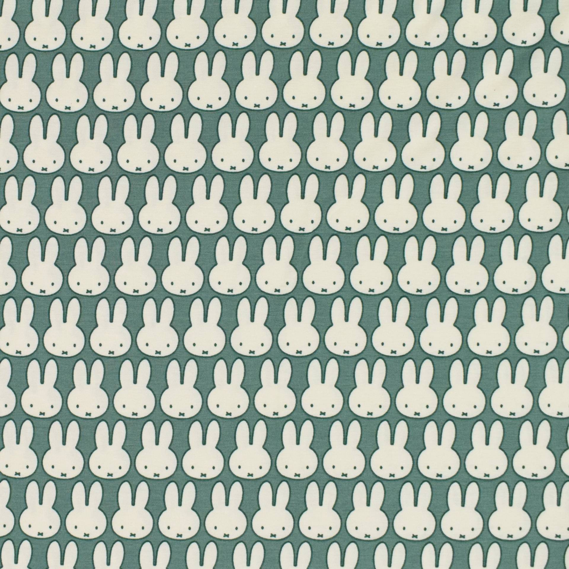 Baumwolljersey Miffy, blassgrün Baumwolljersey Miffy, blassgrün von Stoffe Hemmers